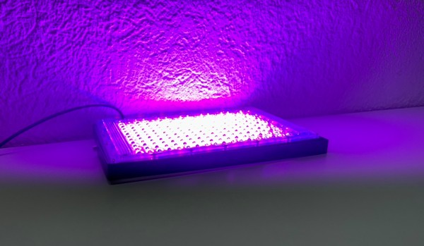 Floor-Spot LED flach